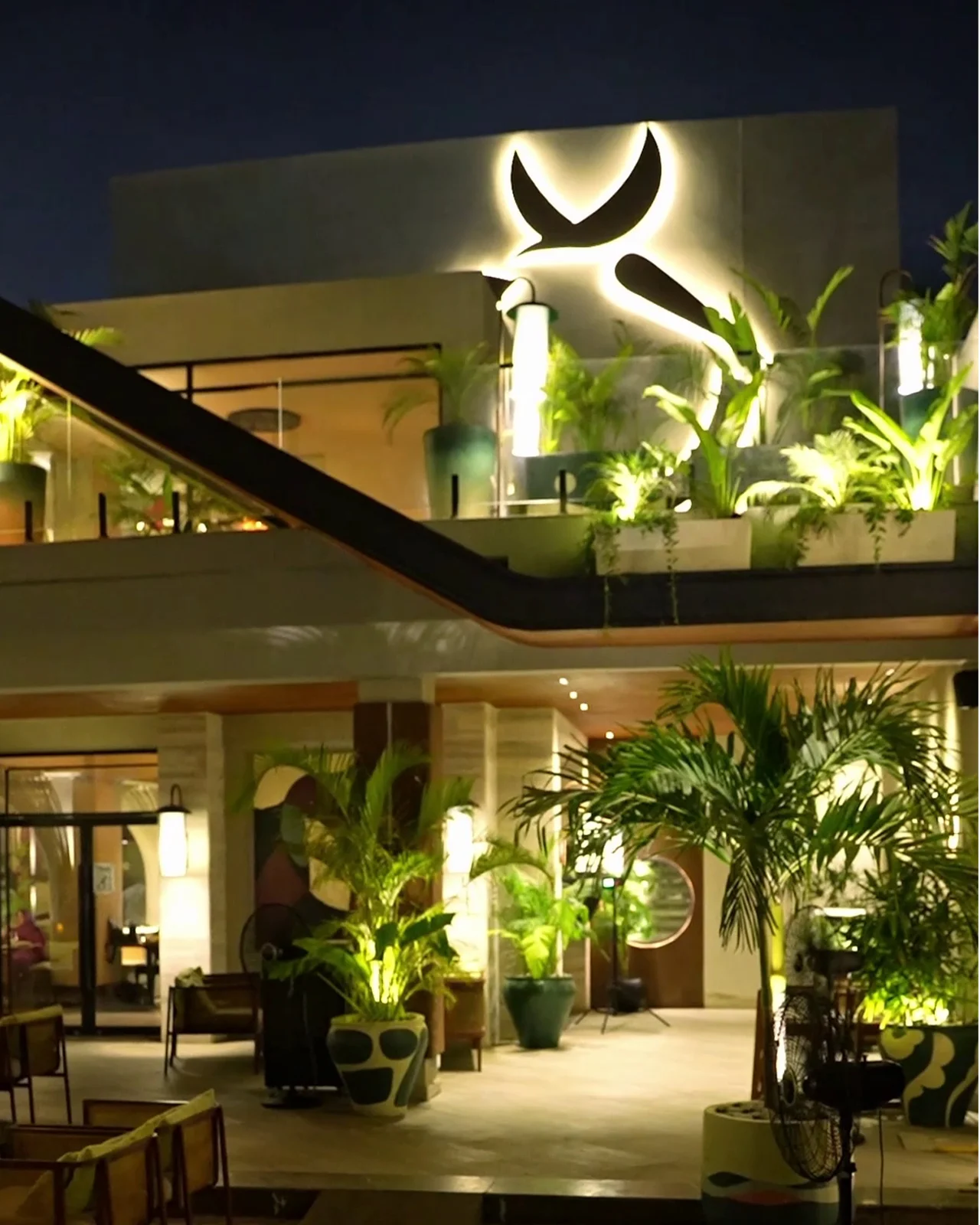 The terrace at night, the swallow emblem glowing on the wall above the palms